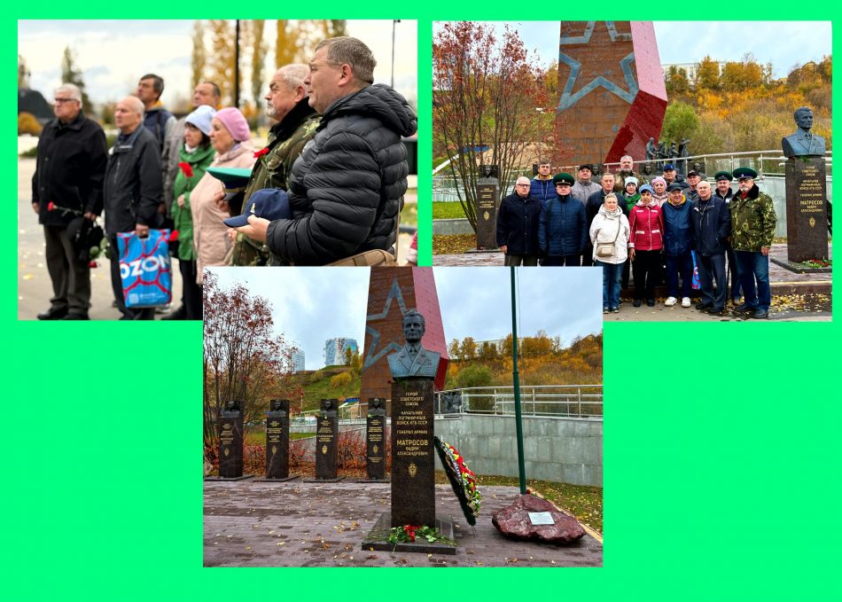 Новый колла_2